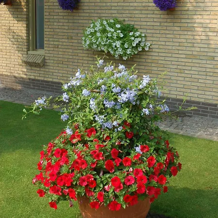 B&B Bloemenweelde-3